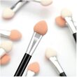 Set 5 bucati Aplicator fard, Chique