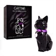 Set 6 Apa de parfum pentru femei Gattina Black Accentra 8256175, 75 ml+ Tester GRATUIT