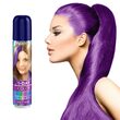 Spray colorant pentru par, fixativ, Venita, 1-Day Color, nr 10, Violet