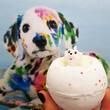 Bomba de baie cu jucarie Spot On Bath Blaster 140g, Bomb Cosmetics