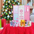 Calendar Advent 12 Days of Skin Care, IDC Institute, 90355