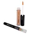 Set 24 bucati Perfect Match, anticearcan lichid 4 g si corector anti-acneic 2 g, Magic Studio
