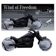 Apa de parfum pentru barbati, Wind of Freedom Black, Accentra, 8256168, 30ml zi si 50ml noapte 