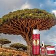 Pachet ingrijire ten Dragon' Blood Revers - apa micelara, crema de ten si ser ingrijire