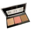 Paleta de machiaj pentru contur, Pro Contour, HD Beauty, Revers, nr  01, 12,5 g