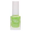 Set lac de unghii Catitude in Colors, 5 buc x12ml, 64703, Wild&Mild 